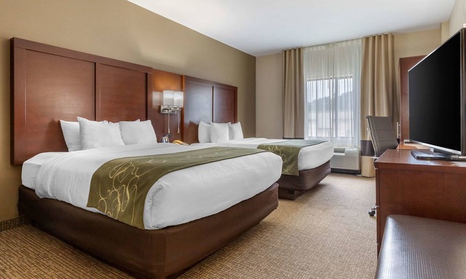 Johnson City Hotel | Comfort Suites Johnson City near University