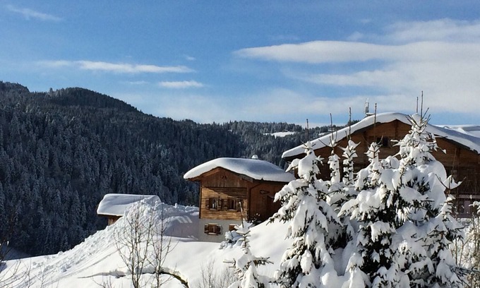 Les Gets Ski Chalet | Comfortable chalet with sauna, WiFi, and private parking