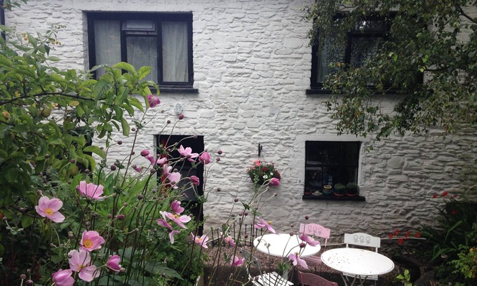 Llanddewi Brefi Cottage | Comfy cottage in glorious West Wales perfect for mountains or coast sleeps 9