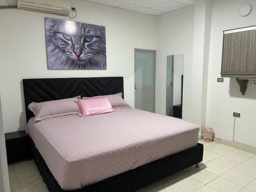 Arauca House | COOL HOUSE 24Horas