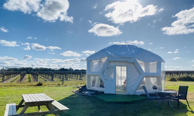 Comaum Other | Coonawarra Hampton Bubble 1