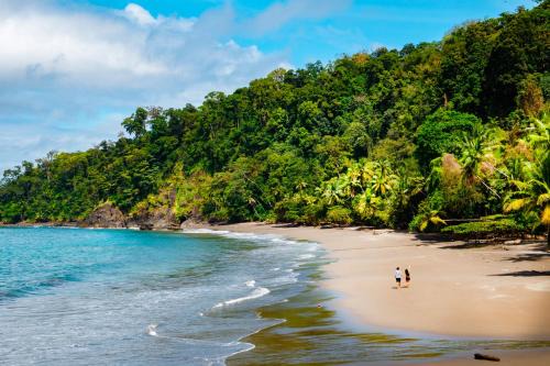 Jaco Hotel | Corcovado Wilderness Lodge by SCP