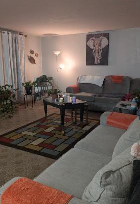 Lima House | Corner Oasis