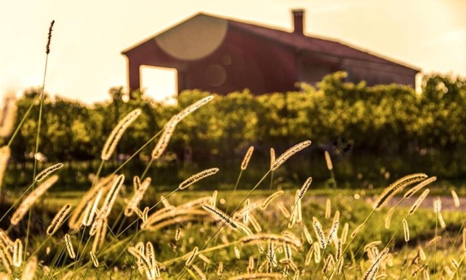 Piove di Sacco House | CorteZecchina