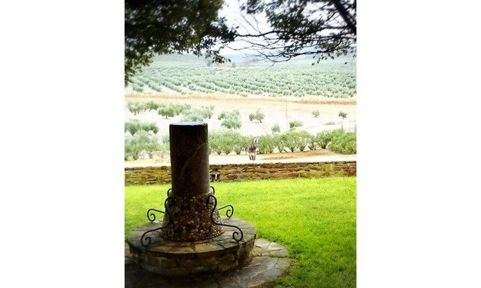 Arjona House | Cortijo Cabañas Rural Apartments. Penthouse