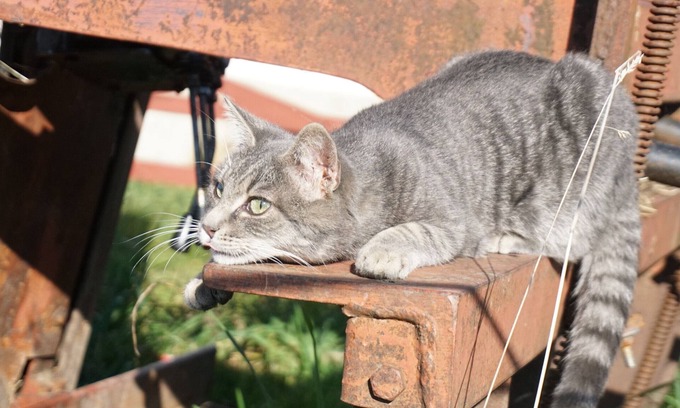 Amtzell Apartment | Cosy Apartment “Auszeit” on Farm with Mountain View, Wi-Fi, Terrace & Garden