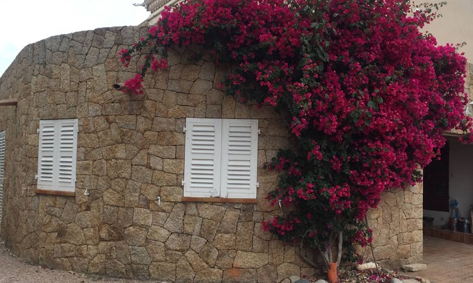 Coti-Chiavari House | Coti Chiavari: House/Villa - Coti chiavari