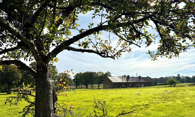 Cogles Cottage | Cottage in the heart of a forest estate