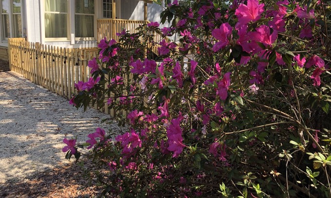 St. Augustine Cottage | Cottage in the Pines