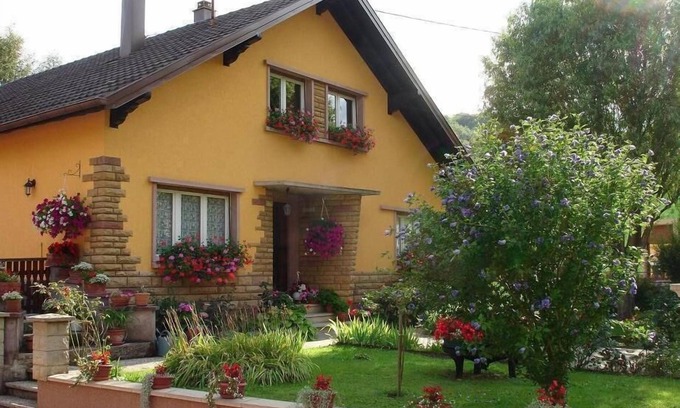 Maisonsgoutte Apartment | Cottage "Les Collines" In the center of Alsace