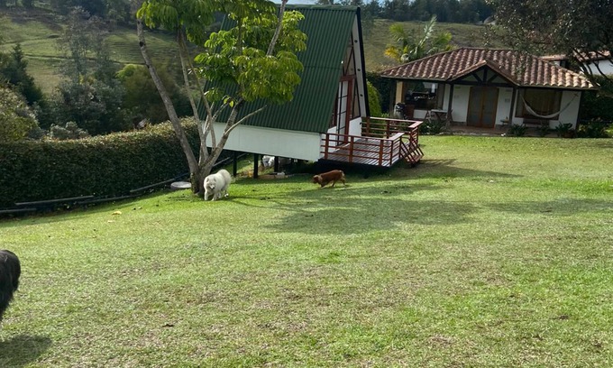 Rionegro Cabin | Cottage surrounded by nature, an ideal place to rest and enjoy with your partner.