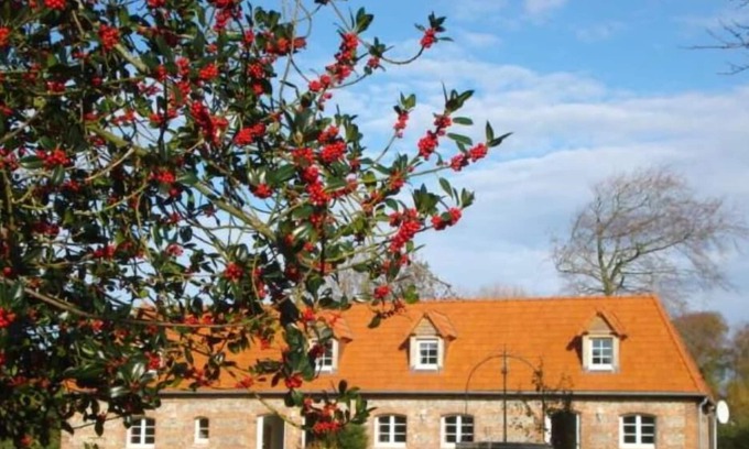 Quiberville Cottage | Country Cottage / Gite - Quiberville