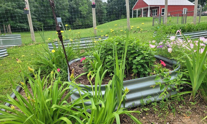 Chappell Hill Other | Country living in new 2bdrm/2bth farmhouse in lovely Chappell Hill with WiFi, AC