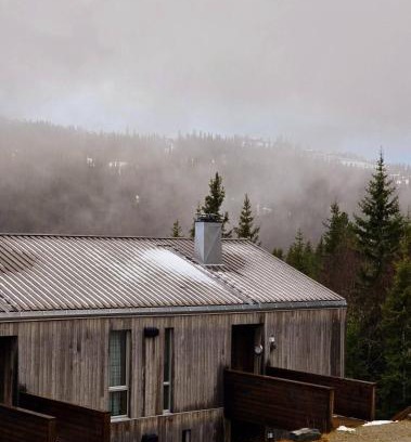 Skeikampen Apartment | Cozy Apartment by the slopes in Kvitfjell Vest