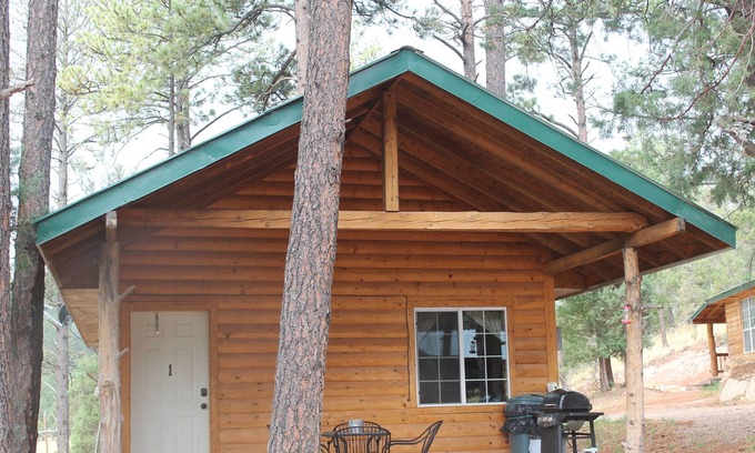 Sacramento Cabin | Cozy Clean Cabin next to Lincoln National Forest.