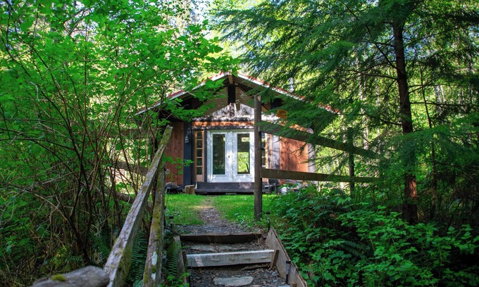 Strathcona Cabin | Cozy Forest Cabin in the Beautiful Sayward Valley