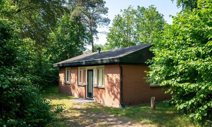 Krachtighuizen House | Cozy Forest Retreat Near Putten