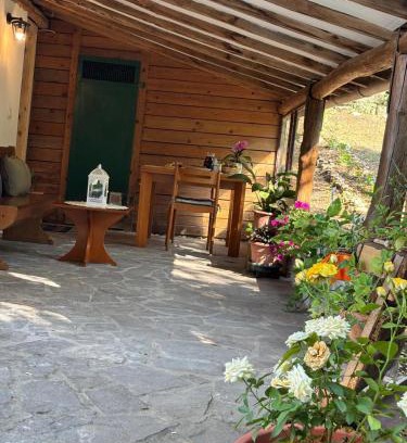 Castelnuovo Berardenga House | Cozy house in the Chianti region
