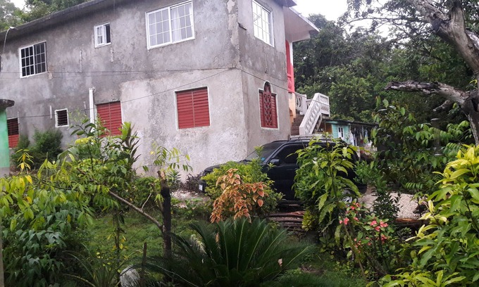 Reading House | cozy in the hill surrounded by fruit trees ,flowers and greenery
