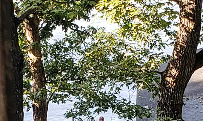 Goodview House | Cozy Lakefront A-frame on Smith Mountain Lake w/private dock. Pet Friendly.