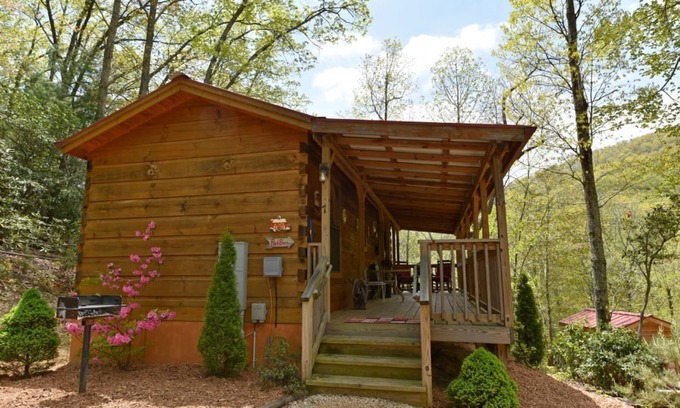 Asheville Cabin | Cozy Log Cabin w/Fire Pit, Mountain Views & Biltmore Pass — 20 Min to Asheville