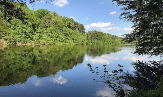 Bahama House | Cozy & relaxing cottage on the lake *Dog Friendly*