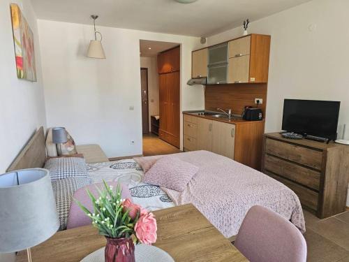 Borovets Apartment | Cozy studio 125 in Villa Park