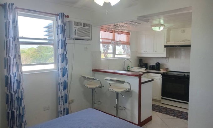 Hastings Apartment | Cozy Studio apartment in charming Bridgetown with AC -Apartment 3D