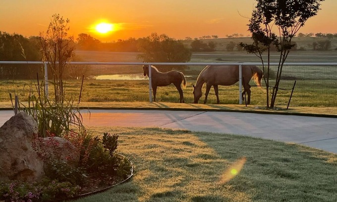 Fort Worth Apartment | Cozy studio with queen pullout sofa on scenic working ranch in Fort Worth.