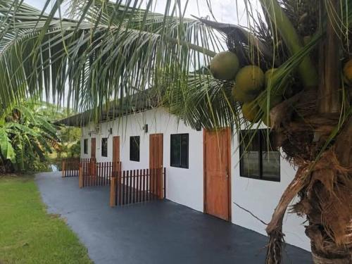 Koh Samet Apartment | Crowd free own pace and space