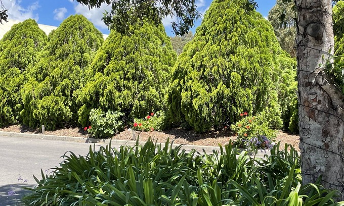 Crows Nest Hotel | Crows Nest Motel