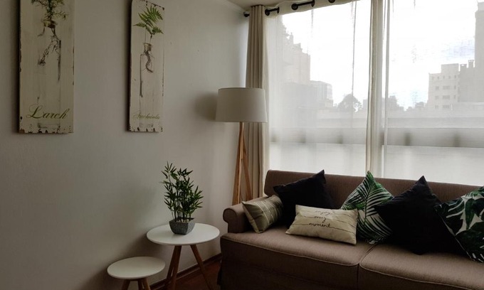 Downtown Santiago Apartment | Cute Apartment Metro Moneda