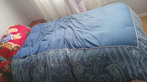 Puerto Aysen Bed & Breakfast | Dónde Litty