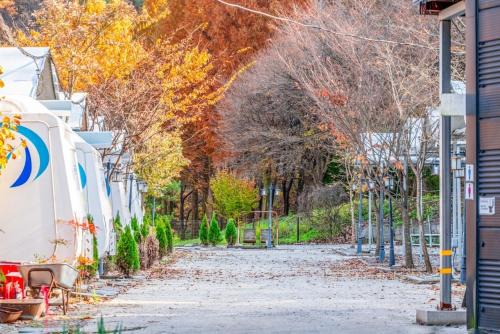 Dong-gu Other | Daejeon Dreaming Farmer Camping Site