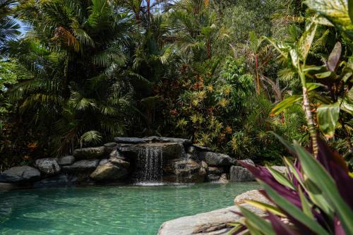 Wonga Beach Other | Daintree Beach Resort