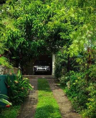 Galle Apartment | Dams Place