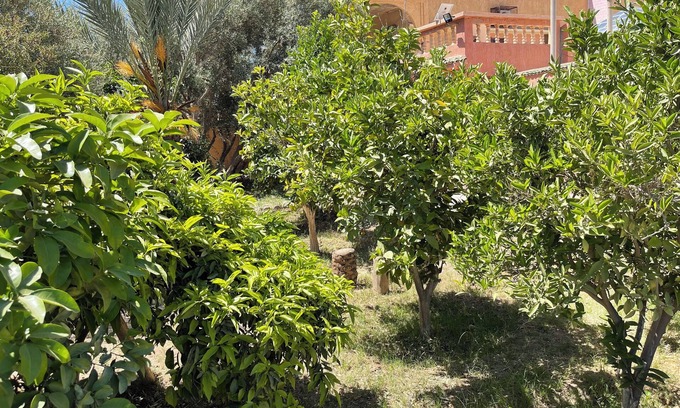 Ahmar Laglalcha Bed & Breakfast | Dar Mona– Your Tranquil Escape Near TaroudantnJust 3km from Taroudant center