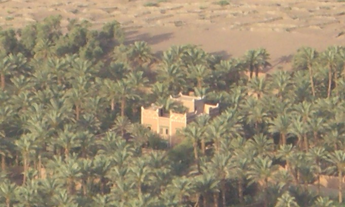 Amezrou House | Dar Nekhla - La Maison Des Palmiers