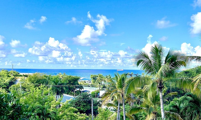 South Coast Apartment | Darling Palms Tree House: Beachside Studio Oasis