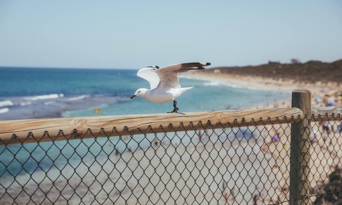Daytona Beach House | Daytona! Never Boring, Always Fun! Enjoy non-stop!