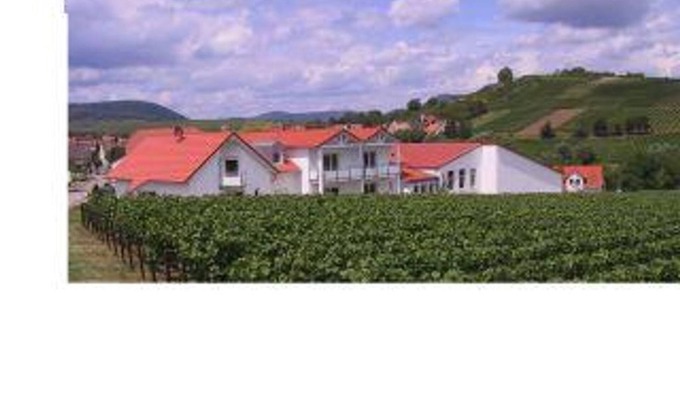 Ilbesheim Bed & Breakfast | Double Room Shower/WC "206" - Weingut-Gästehaus Hans Dieter Bosch