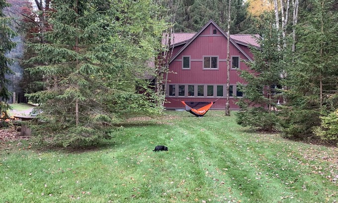 Delhi House | Delhi Tree House / 5 bedrooms. 5 Minutes from Downtown. 20 MinTo Oneonta.