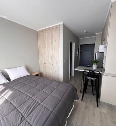 Pitrufquen Apartment | Departamento Estudio, Pitrufquén