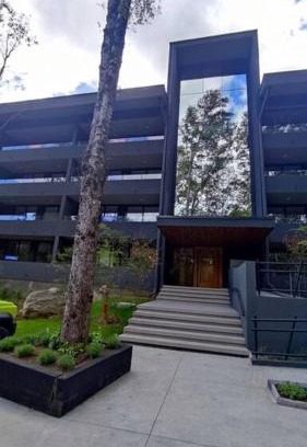 Pucon Apartment | Departamento muy confortable y cómodo en lugar muy tranquilo