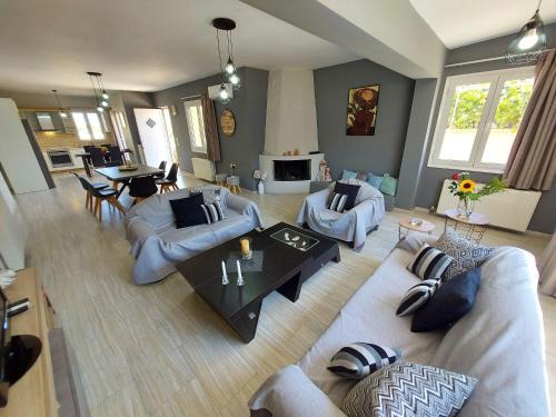 Pigianos Kampos House | Detached House - Villa mariva