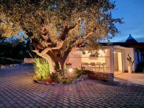 Castellana Grotte House | Dimora del Fragno