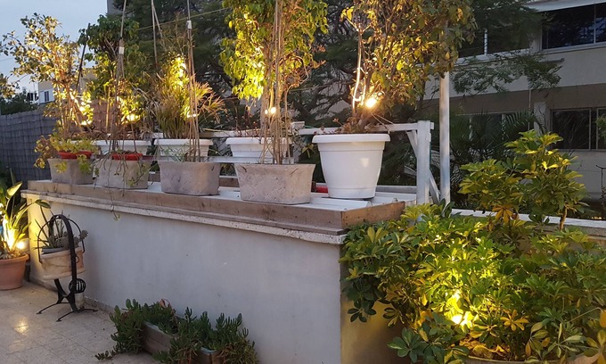 Qiryat Shaʼul Apartment | Dip in green vacation or business apartment, BB per stay, 5 min to center