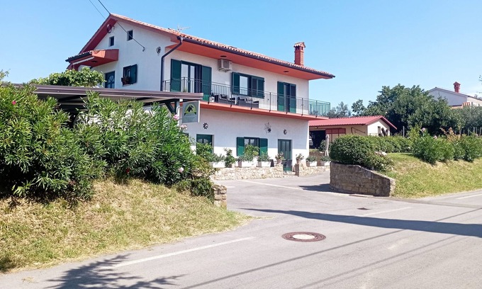 Piran Apartment | Discover nature's symphony, taste our own produced organic olive oil and wine.