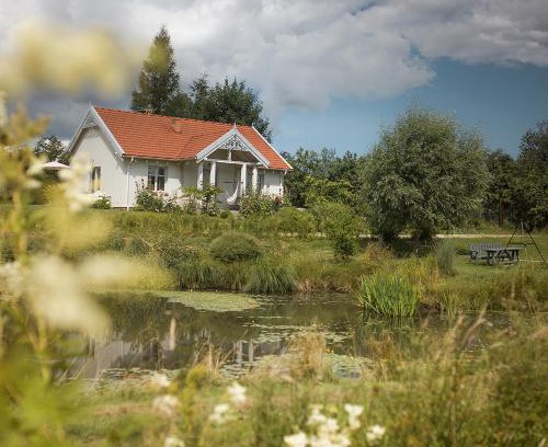 Puck House | Dom nad stawem