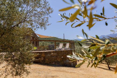 Vallecalle House | Domaine de Campu